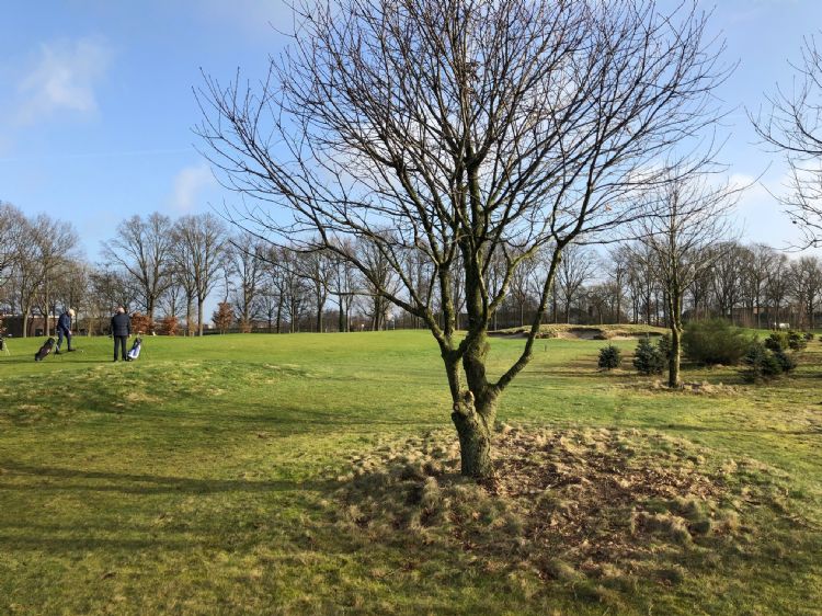 Golfers in actie op de baan