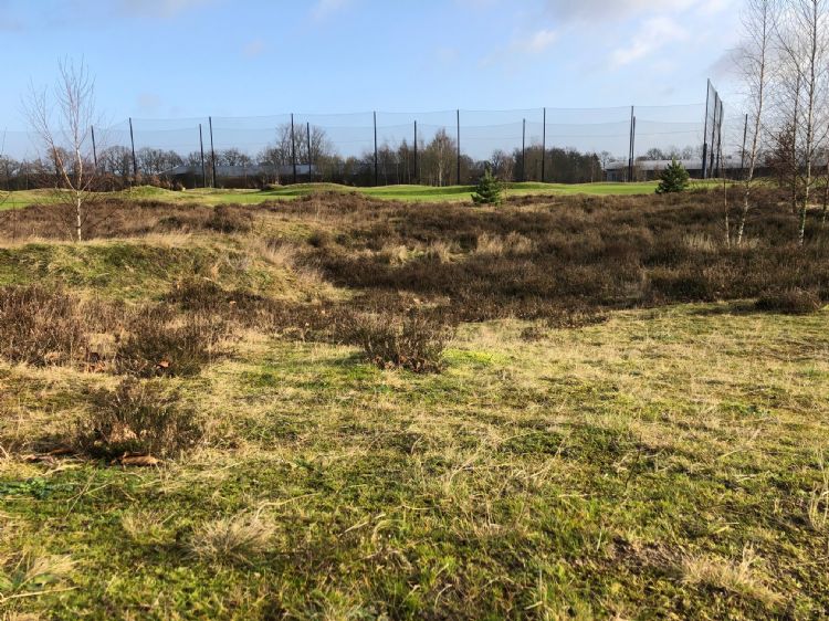 Heide, met op de achtergrond de drivingrange