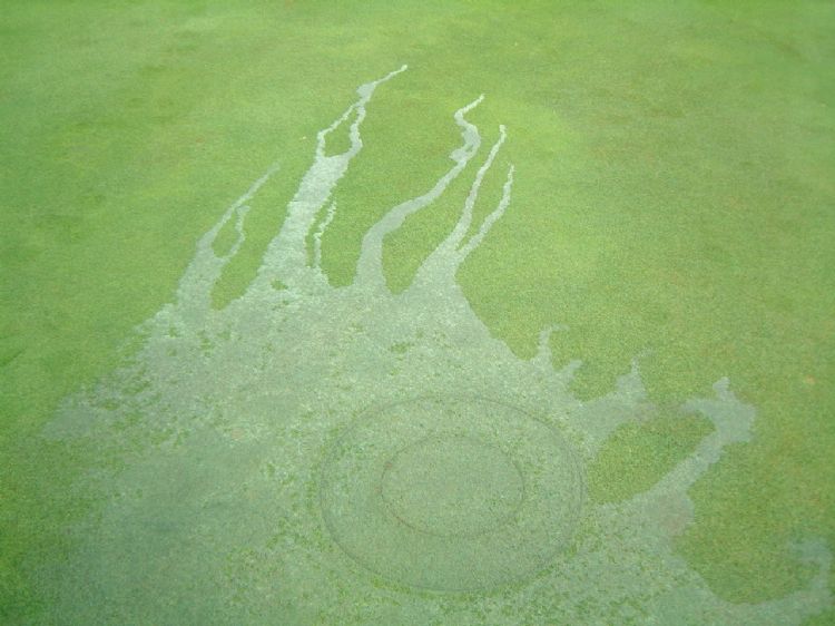 <i>Waterfingers</i>: water 'loopt' over een green, zonder te infiltreren <i>Waterfingers</i>: water 'loopt' over een green, zonder te infiltreren