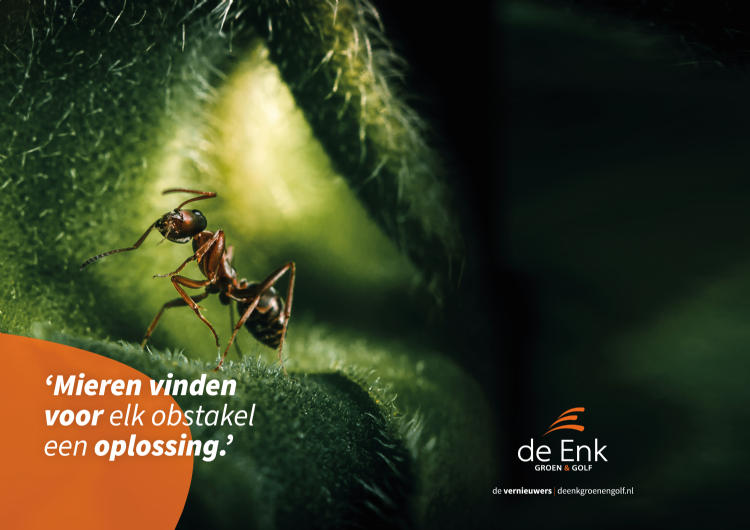 De mier als symbool voor samenwerking De mier als symbool voor samenwerking