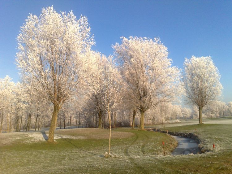 Tijdelijke (winter)green tijdig prepareren