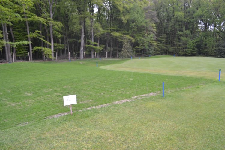 Op hole 7 is een bunker weggehaald en Engels raaigras ingezaaid