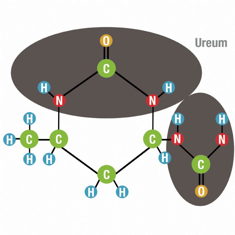 Crotodur ureumgroepen.