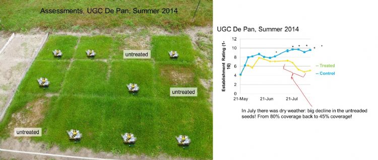 Proeven Aquatrols/Barenbrug met Yellow Jacket Water Manager tonen aan dat planten ondanks volledige vestiging (=10) door hittestress toch weg kunnen vallen. Foto half juli na hittestress, UGC De Pan, 2014