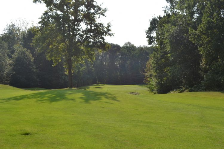 De Limburg-course ligt in een meer bebost gebied.