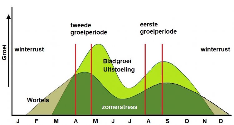 Figuur 5: De groeipieken van het gras zijn de geschiktste momenten om te investeren in de kwaliteit van de grasmat. Figuur 5: De groeipieken van het gras zijn de geschiktste momenten om te investeren in de kwaliteit van de grasmat.