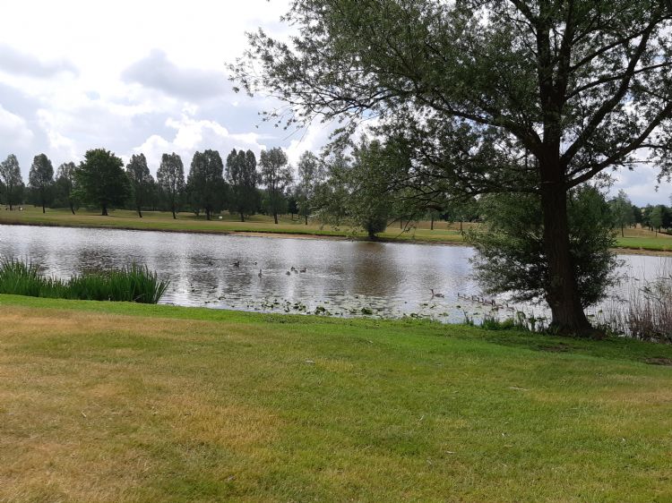 De baan heeft meerdere vijvers en hoge roughs. De vogels maken daar dankbaar gebruik van. De baan heeft meerdere vijvers en hoge roughs. De vogels maken daar dankbaar gebruik van.
