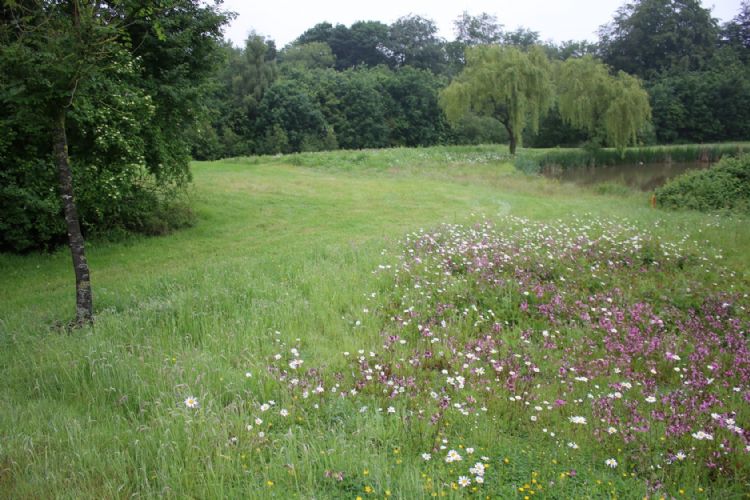 Praktijkvoorbeeld van sinusmaaien op Golf & Country Club De Palingbeek