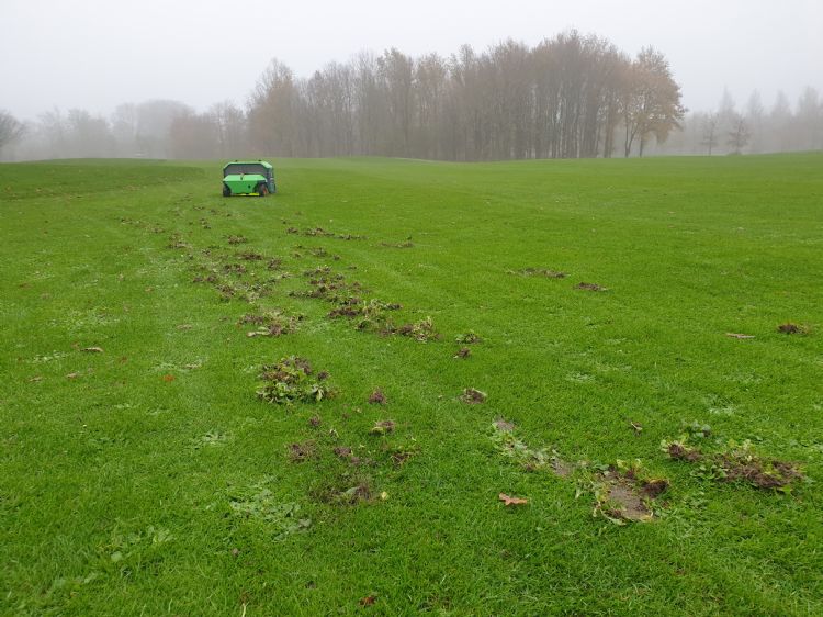 In 2020 werd een demo met de Violette uitgevoerd op Golfbaan Zeewolde. De machine boort door het hart van de onkruidwortel en trekt deze uit de grond. Hij laat de onkruidplanten achter op het gras, waarna de greenkeeper of fieldmanager ze kan oprapen.