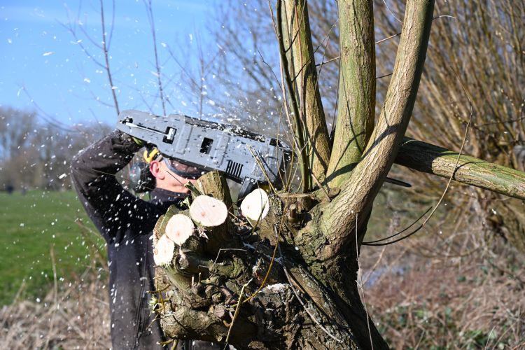 Mathijs van der Vinne in de weer met Kärcher-kettingzaag