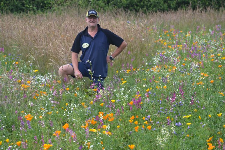 Marco Blom: 'Het valt mijn collega's op dat ik alles vanuit de natuur benader.'