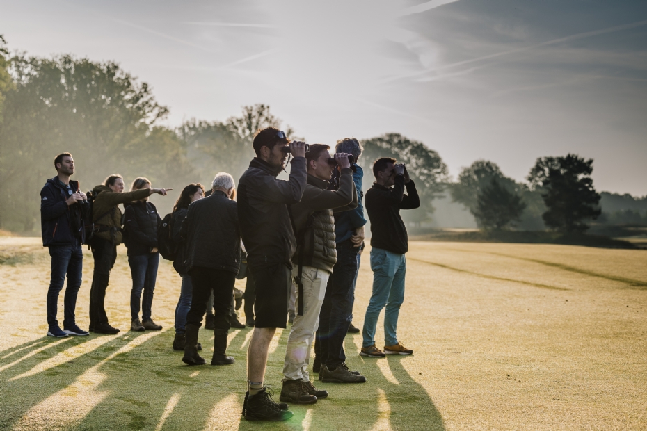 Vogelexcursie op Bernardus, kijkend naar een bonte vliegenvanger die gebruikmaakt van een nestkast