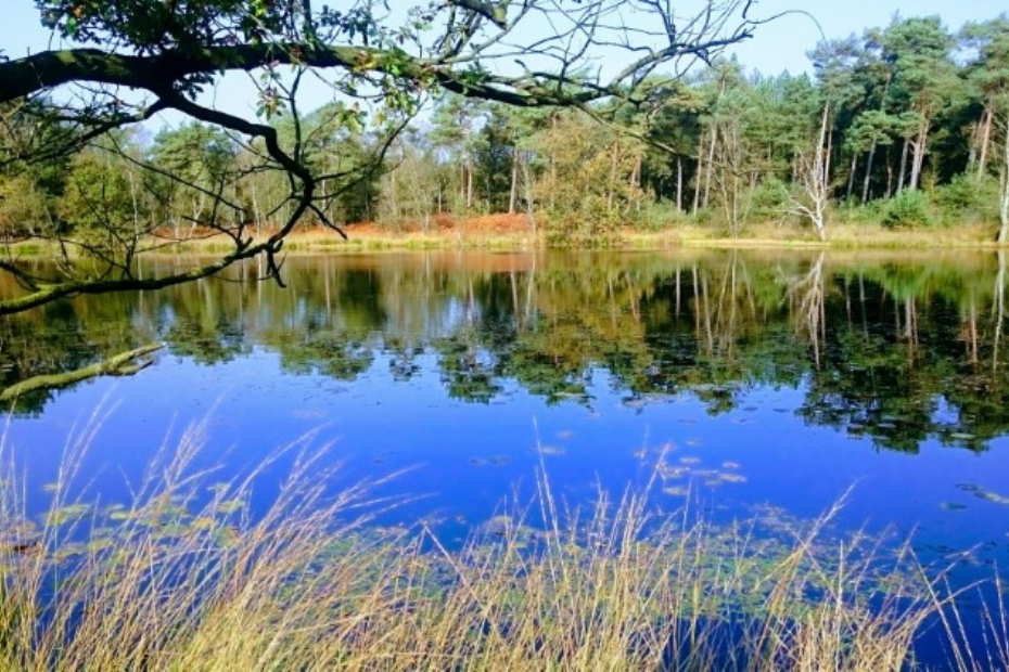 (Foto: Waterschap De Dommel)